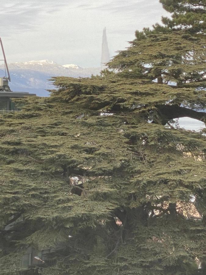 Genève, plein centre,belle vue Lac, splendide et grand appartement Esterno foto